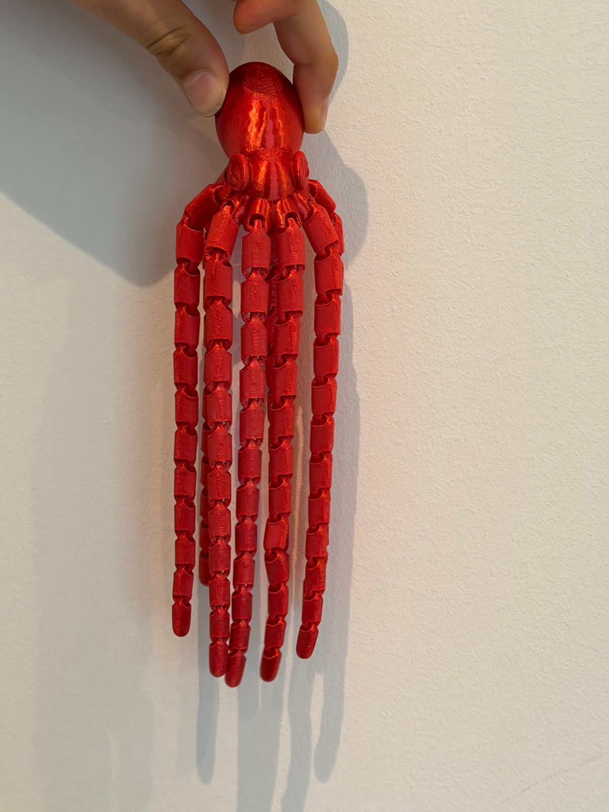 Long tentacle octopus