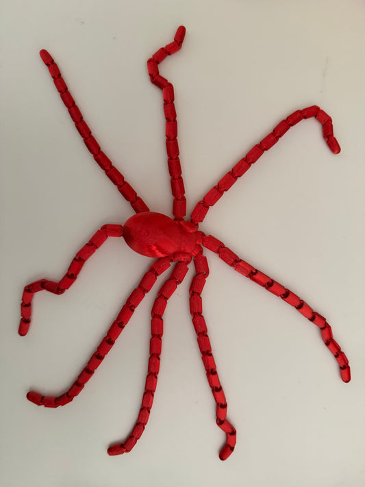 Long tentacle octopus