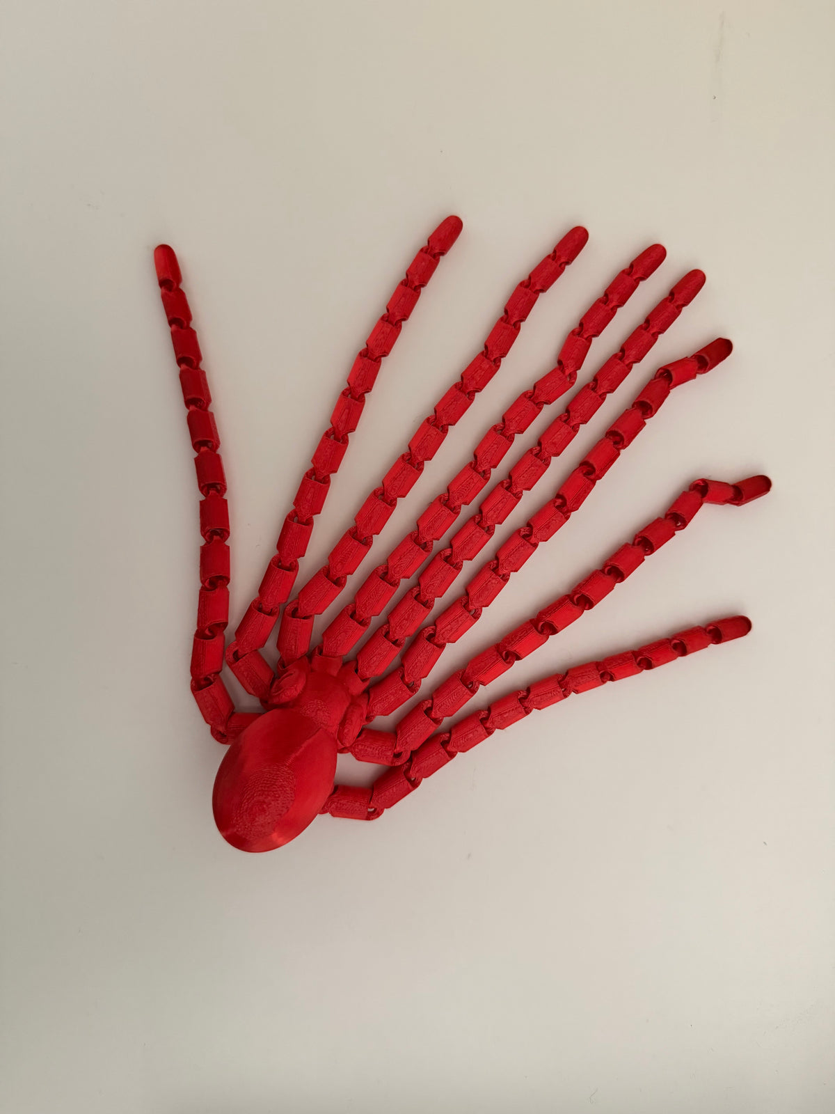 Long tentacle octopus